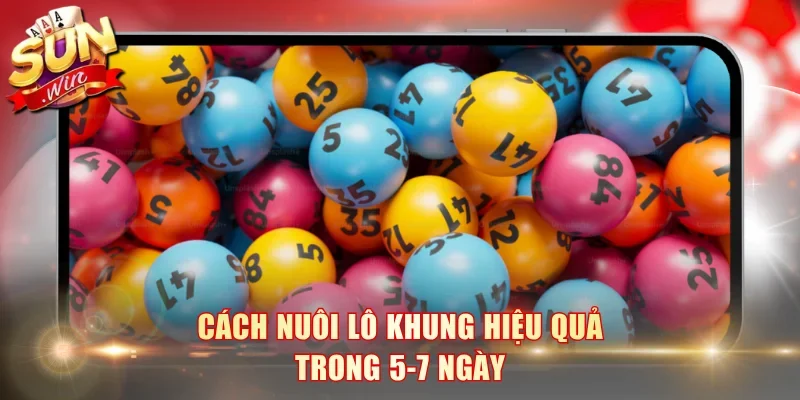 Cách nuôi lô khung hiệu quả trong 5-7 ngày