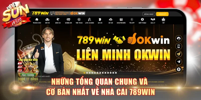 Những tổng quan chung và cơ bản nhất về nhà cái 789win